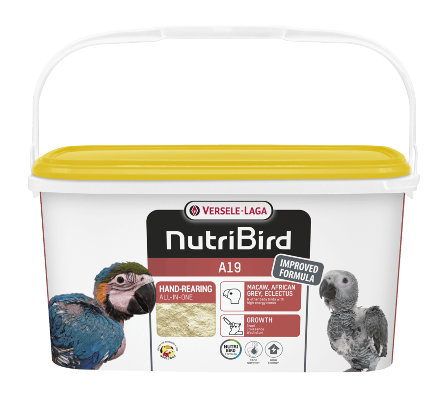 bird rearing food